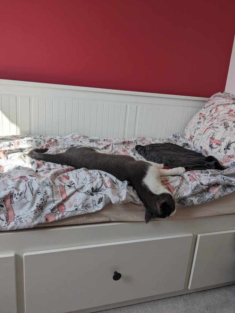 Our grey and white cat lying dangerously over the edge of a day bed in a pink room.